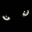 black_02